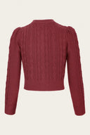 The Ice Skater Cardigan in Rust, Rückansicht